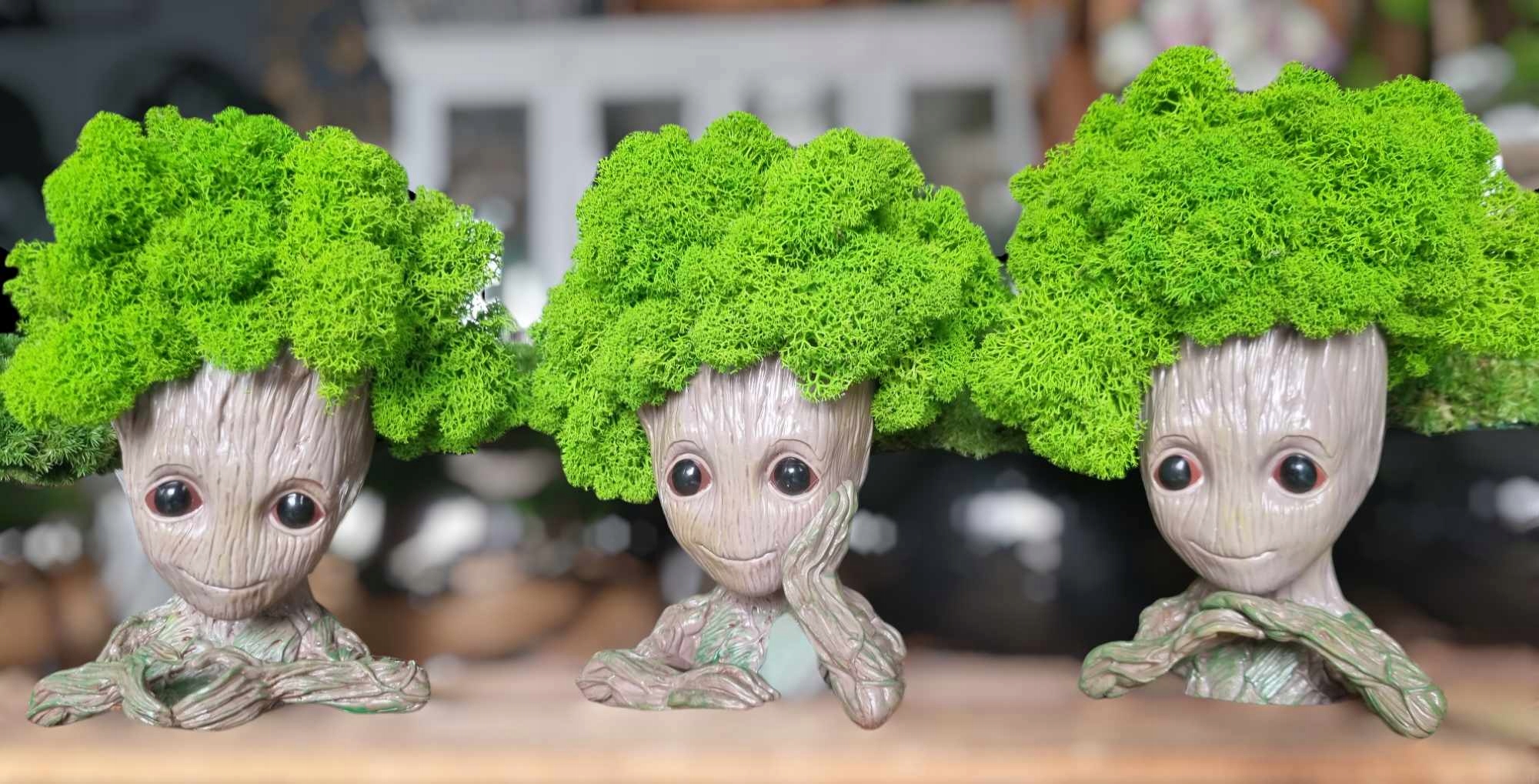 machova_dekoracia_groot_c